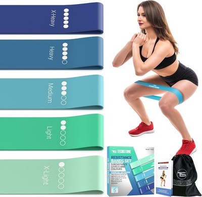 TechStone Resistance Bands Set for Men and Women, Pack of 5 Different Blue 