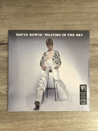 David Bowie Waiting in the Sky LP Vinyl RSD Record Store Day 24 | New Sealed
