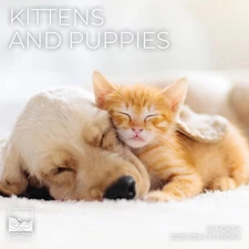 Kittens and Puppies Wall Calendar 2026 | 12" X 24" Open | Giftable Animal Calend