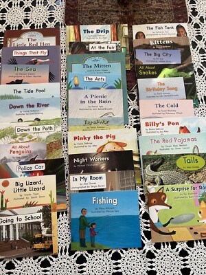 Lot Of 29 Books, Fountas & Pinnell LLI Blue, Grade 2,  BRAND NEW