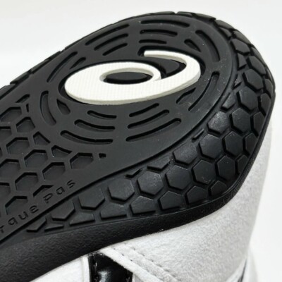 ASICS Wrestling Shoes 1083A001 EX-EO TWR900 Select Color Japan | eBay