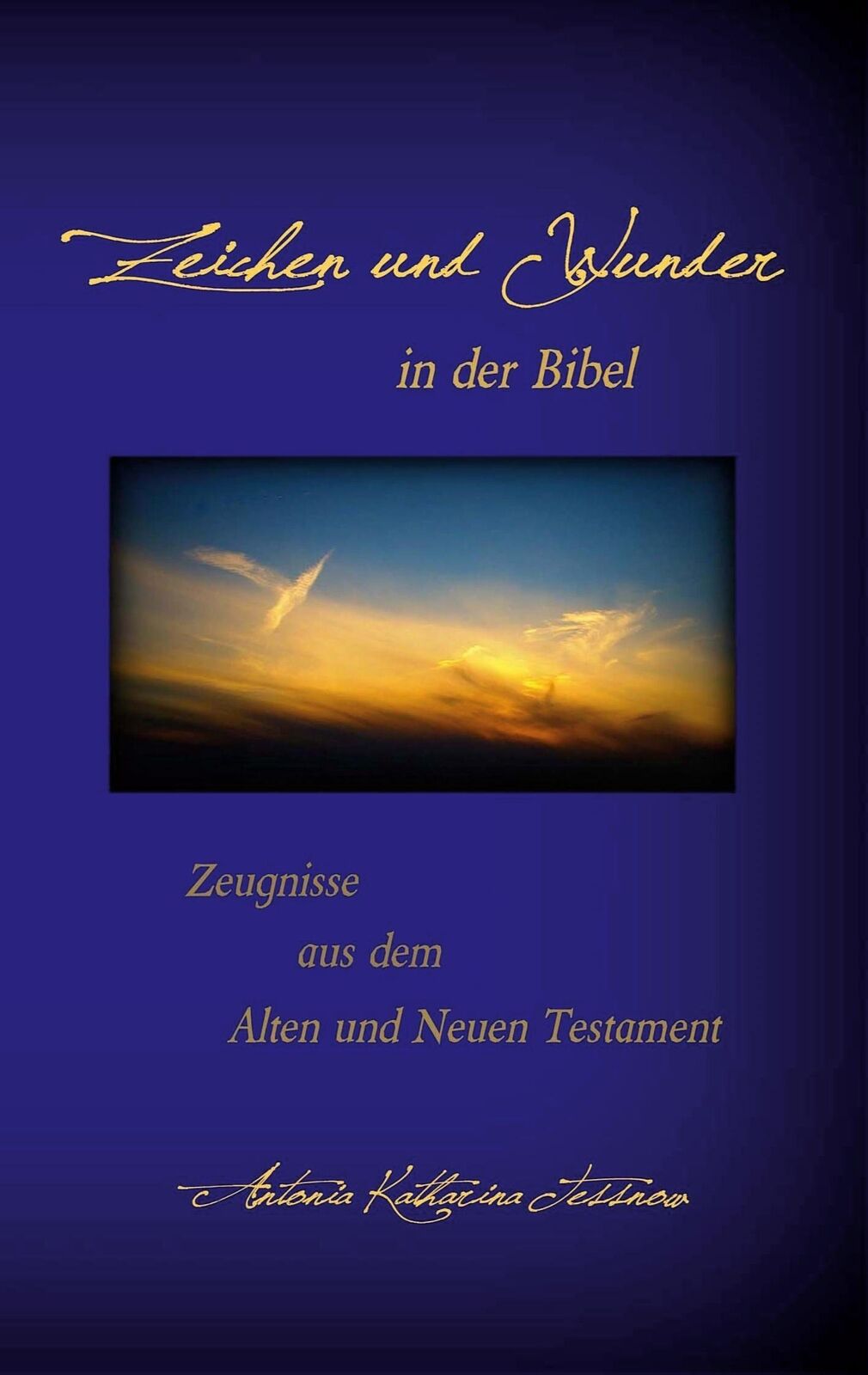 Thumbnail - Antonia Katharina Tessnow | Zeichen Und Wunder In Der Bibel |