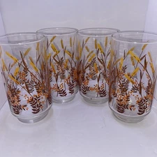 🌹Four (4) Vintage Libbey Drinking Glasses. Cane Flower With Orange Flower