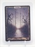 SWAMP 2004 MAGIC THE GATHERING UNHINGED A Q6016