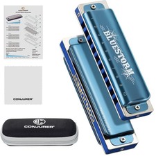 Blues Harmonica 10 Hole Diatonic D Key Phosphor Bronze Reeds Brass Organ Blue