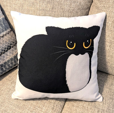 Spinning Cat Meme Pillow Cover Maxwell Viral TikTok Funny Cat 19x19 Double Side