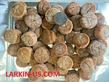 1 LB 100% Japan Hokkaido Dried Scallops EXTRA LARGE Size 正宗日本北海道干貝/搖柱
