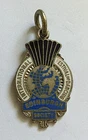 VINTAGE 1970 EDINBURGH SOCIETY DANCE FESTIVAL BADGE