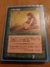 JAPANESE  Nature's Lore - Near Mint, English - Portal Second Age MTG Magic
