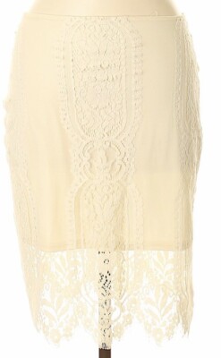 Blu Pepper Lace Mesh Skirt Size M Ivory w/Back Zip NWT