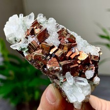 124G Natural  colored pyrite and crystal cluster symbiotic mineralspecimen