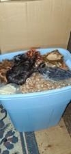 Large Lot of Doll Hair/ Wigs Various Sizes Colors
