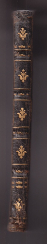 VICTORIJ AMEDEI PRIMI SICILIAE...Domenico Caraccioli Panormitano PANORMI 1714 - Picture 3 of 6
