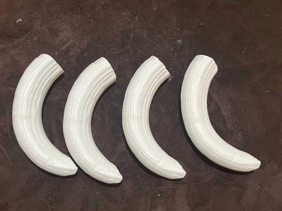 Resina reproducción colmillo canino hipopótamo superior sin pintar para 1  Foto 2 de 4
