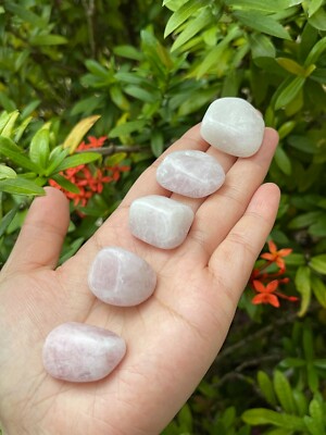 Grade A++ Kunzite Tumbled Stone, 0.75-1 Inch Kunzite Crystal, Pick How Many