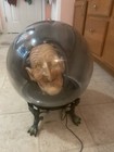 Spirit Halloween Gemmy Spirit Ball Witch retired Halloween animatronic no box — photo 5