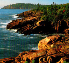 Vintage Continental Postcard Newport Cove Otter Cliff Acadia National Park ME