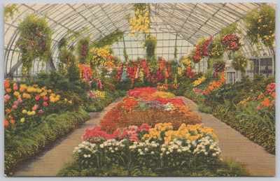 Cincinnati Ohio Linen Postcard Eden Park Chrysanthemum Irwin Krohn Conservatory