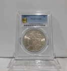 GOLD SHIELD!  1882-S  MORGAN Silver Dollar, PCGS MS-65!