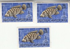 British Honduras 1969. ½c. Fish.  Crana. Tilapia. SG276. MNH