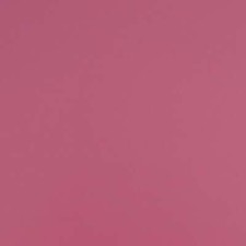 Dartfords Pigmented Nitrocellulose Guitar Lacquer