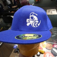 Buzzz 210 Premium Fitted Hat (Logo color may vary)