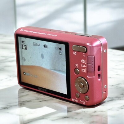 SONY Cyber-shot DSC-W570 Pink 5x Zoom 16.1 MP Digital Camera