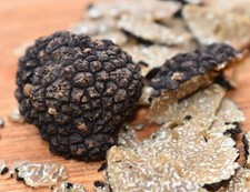 Black Summer Truffle Whole 500 Gr - 1st Choic...