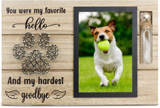 Dog Memorial Frame for Ashes or Hair with Glass Bottle Pet Loss Gifts for Loss o