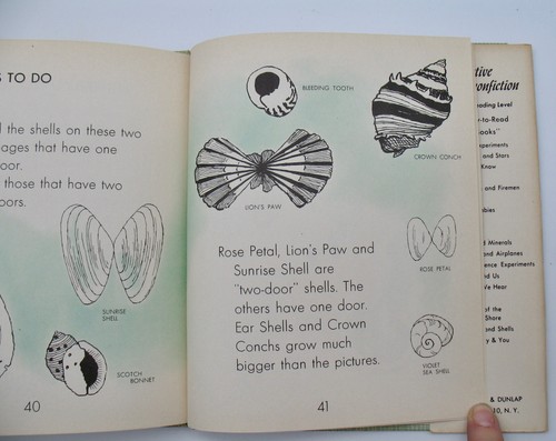 Pebbles & Shells Beach Ocean 1960 BEAUTIFUL CHILDRENS BOOK Illustrated Podendorf - Picture 10 of 11