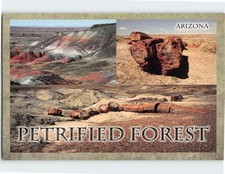 Postcard Petrified Forest National Park  Arizona