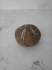 Large Sea Urchin Fossil Flint UK