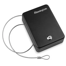 SentrySafe Mini Safe is a Lock Box with Key Lock for Office or Dorm that