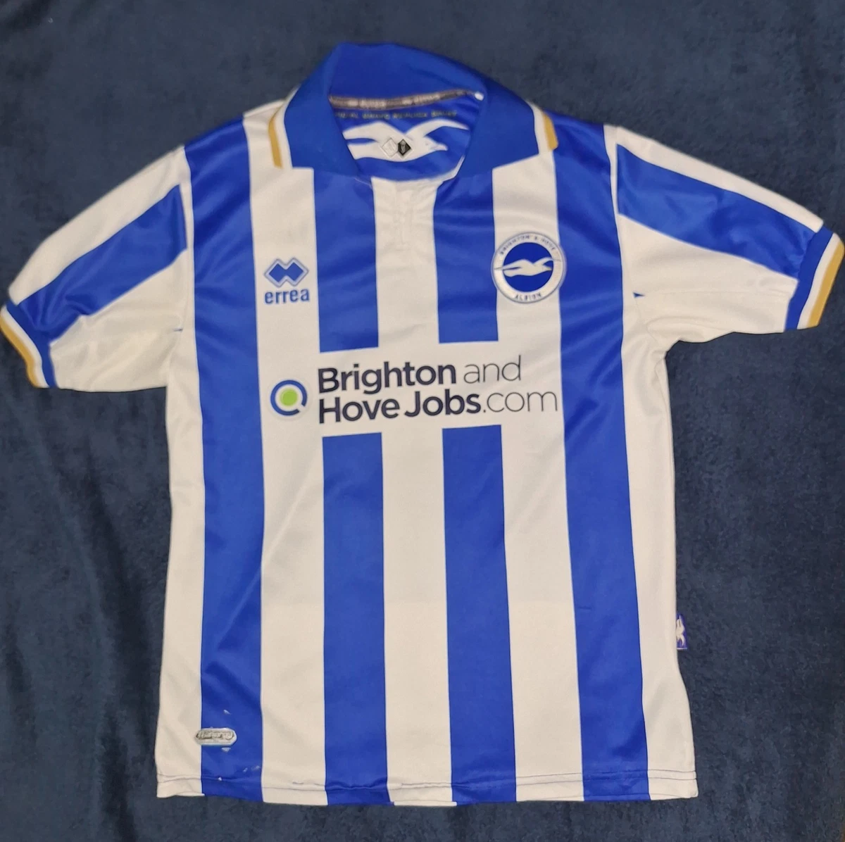 Brighton & Hove Albion Men International Club Soccer Fan Apparel