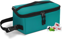 Cerbonny Kleine KüHltasche, Gefrierbare Lunchtasche, Kleine Lunchtasche Isoliert