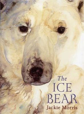 The Ice Bear Hardcover