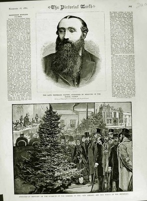 Alter antiker Druck 1882 Professor Palmer Newport Hospital Infirmary Wards 19th