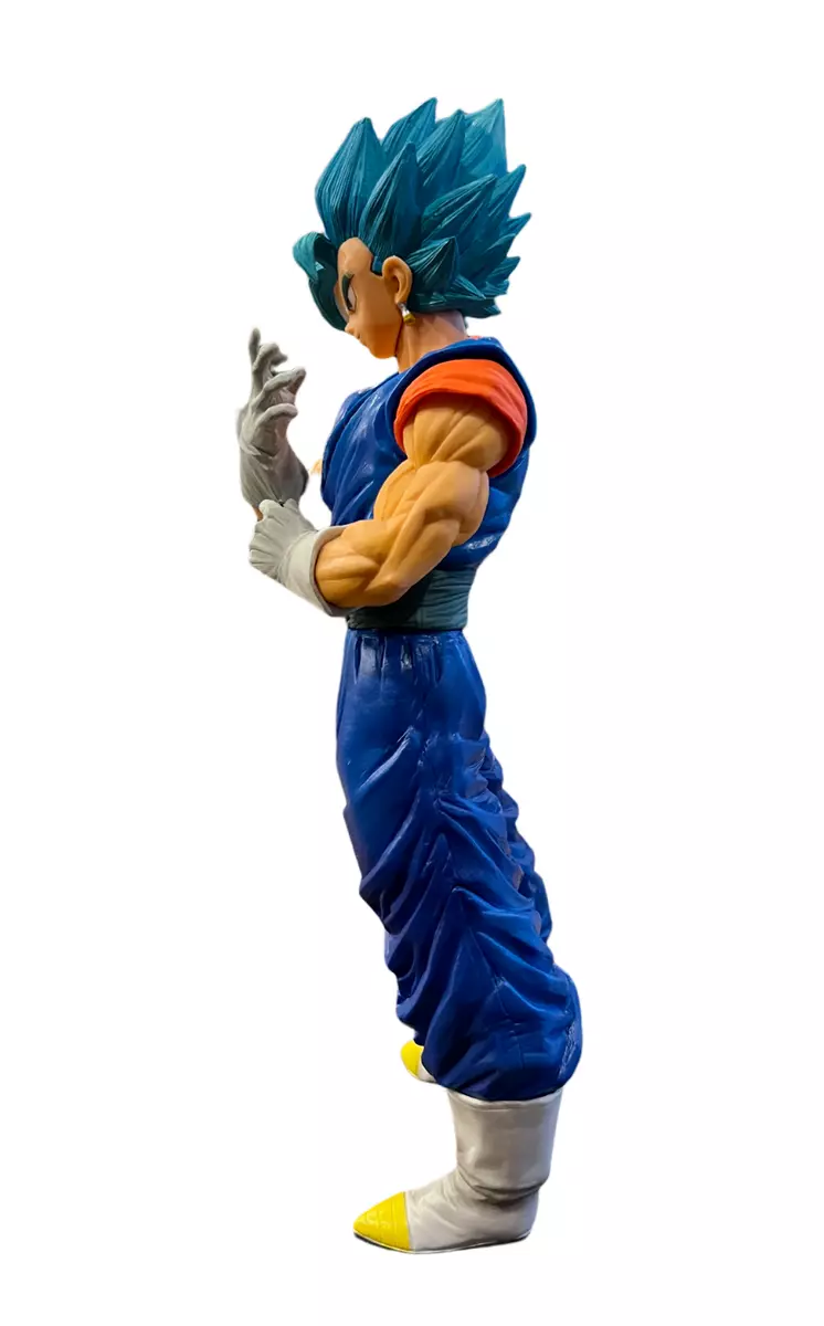 Vegetto Super Saiyajin Blue - Vegito DBZ Photographic Print for