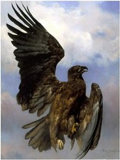 Eagle Bird Sky R. Bonheur Tile Mural Kitchen Bathroom Backsplash Marble Ceramic