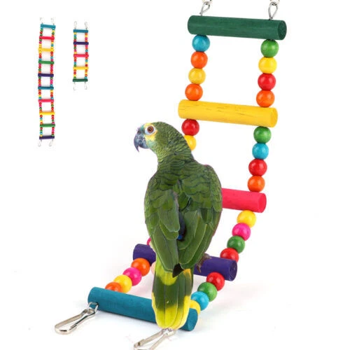 Vogelleitern & Seile