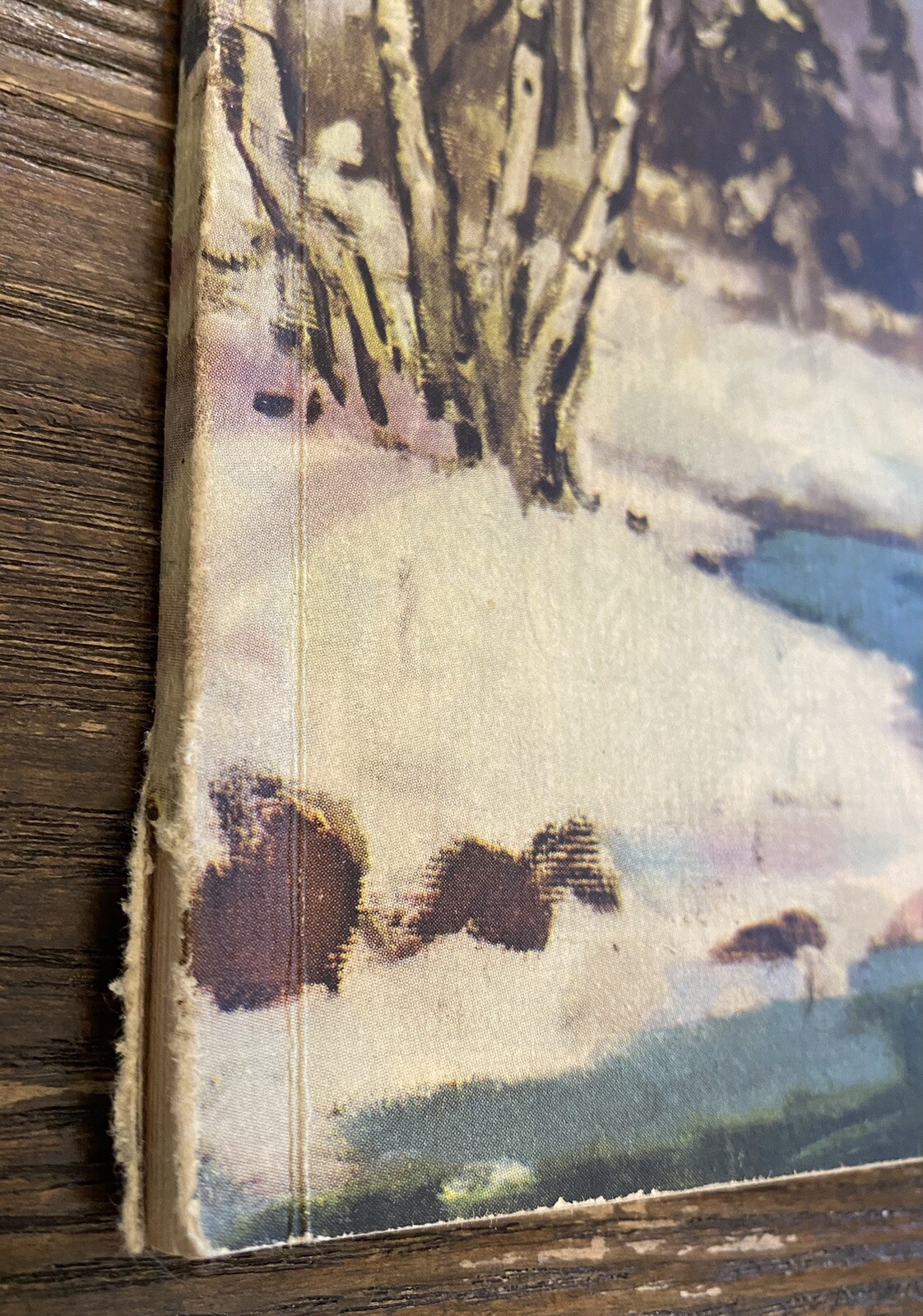 Picture 4 of 7