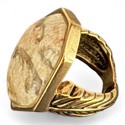 HSN 2014 Gold Tone Barse Jasper Stone Geometric Statement Ring Size 5.75
