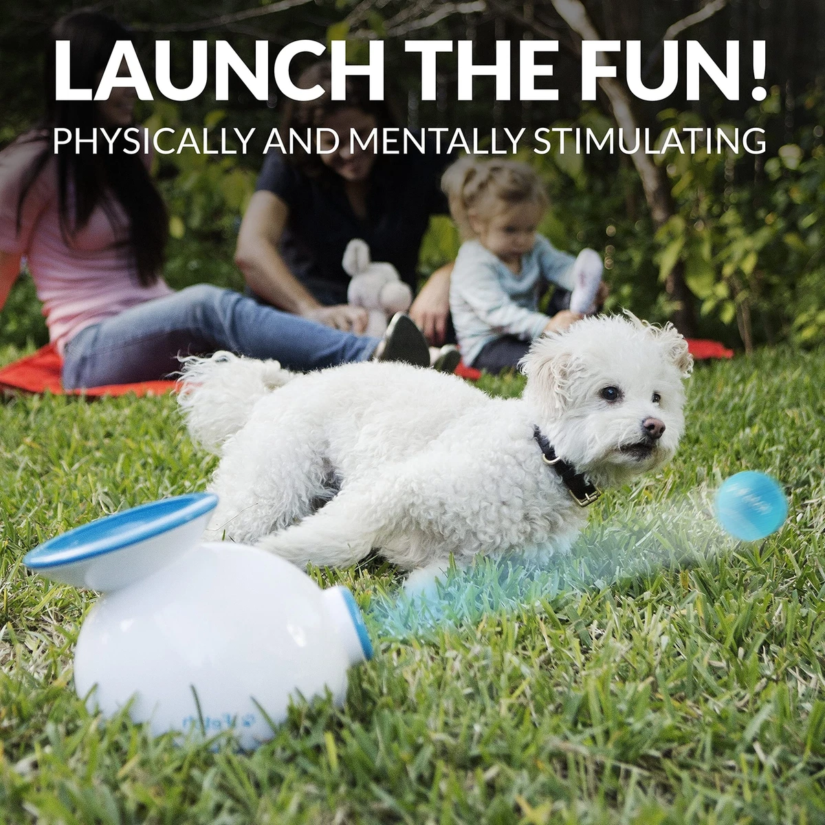 iFetch Small Interactive Ball Thrower for Dogs Launches Mini