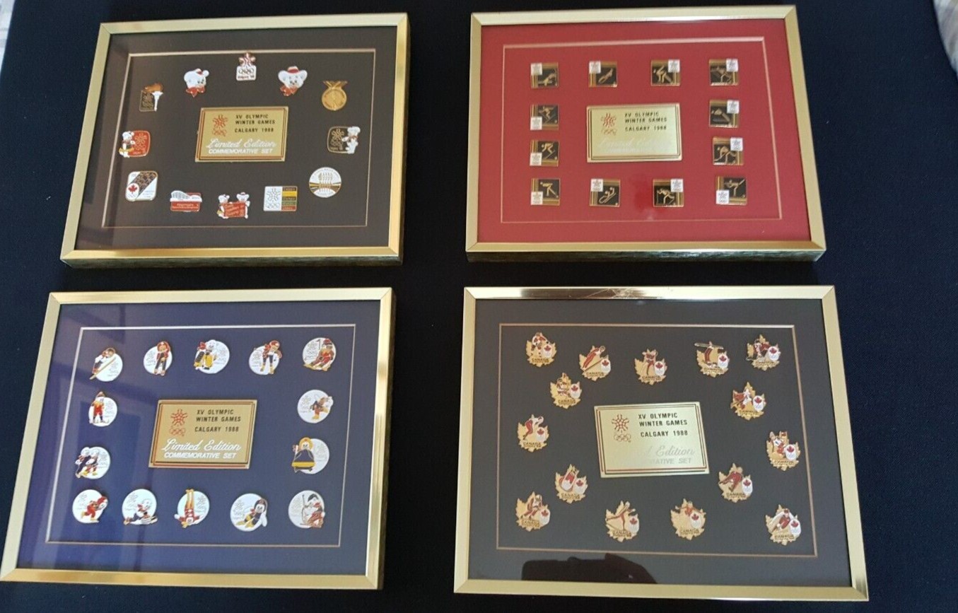 Olympic Winter Gamesnagano 19 バッジ Www Metalroofingcenter Com