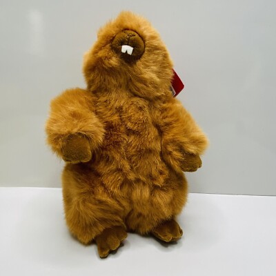 Kohls Cares Gund Plush Groundhog 