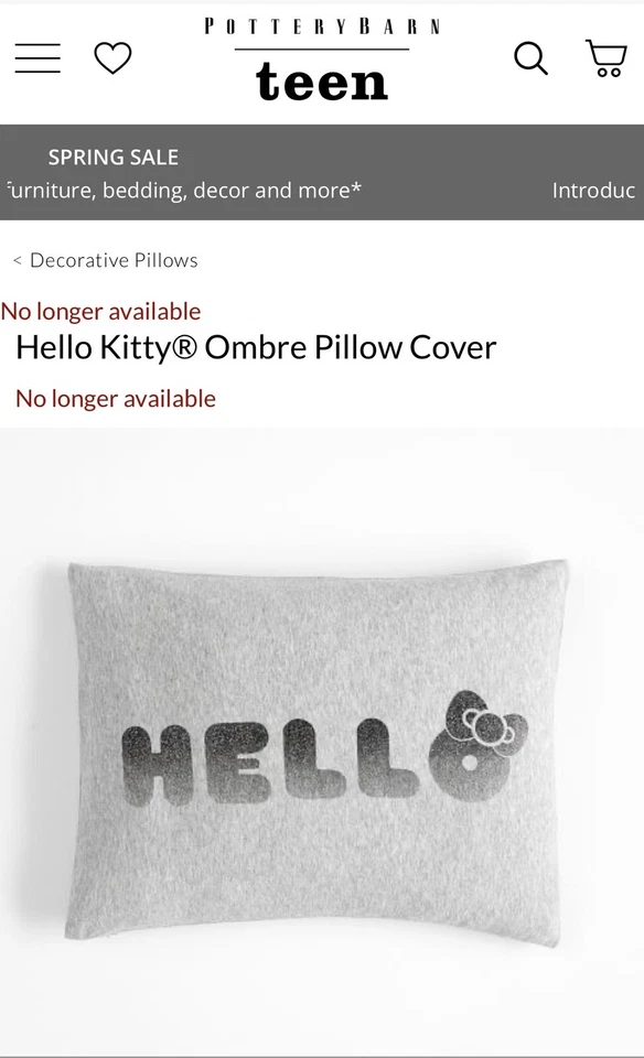 Cubierta Pottery Barn Teen Gris Ombre Brillo Acento NUEVO *RETIRADO* Foto 3 de 4