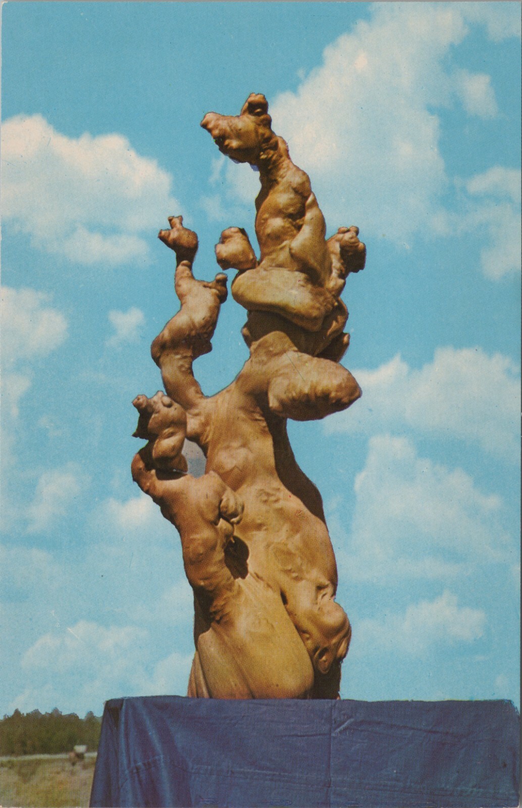 Tom Gaskins Cypress Knee Land Palmdale Florida museum postcard B393