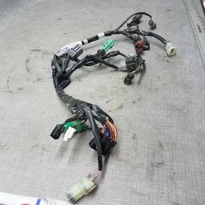 2018-2019 Kawasaki KX250F Electrical Wiring Harness Loom Connectors