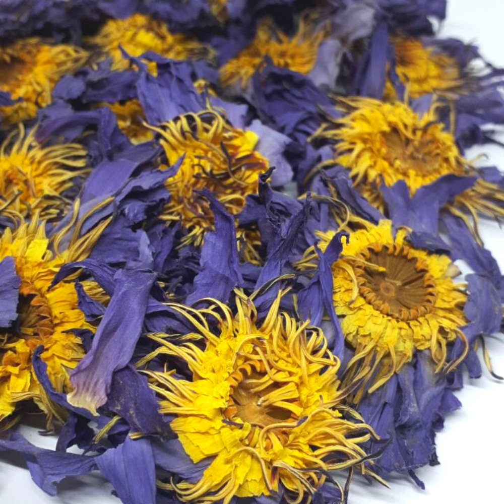 Orku Dried Blue Lotus Flowers - Whole Open Lily Nymphaea Caerulea
