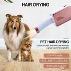 Hot Selling Portable Pet Dryer FoldableMini Dryer for Clothes